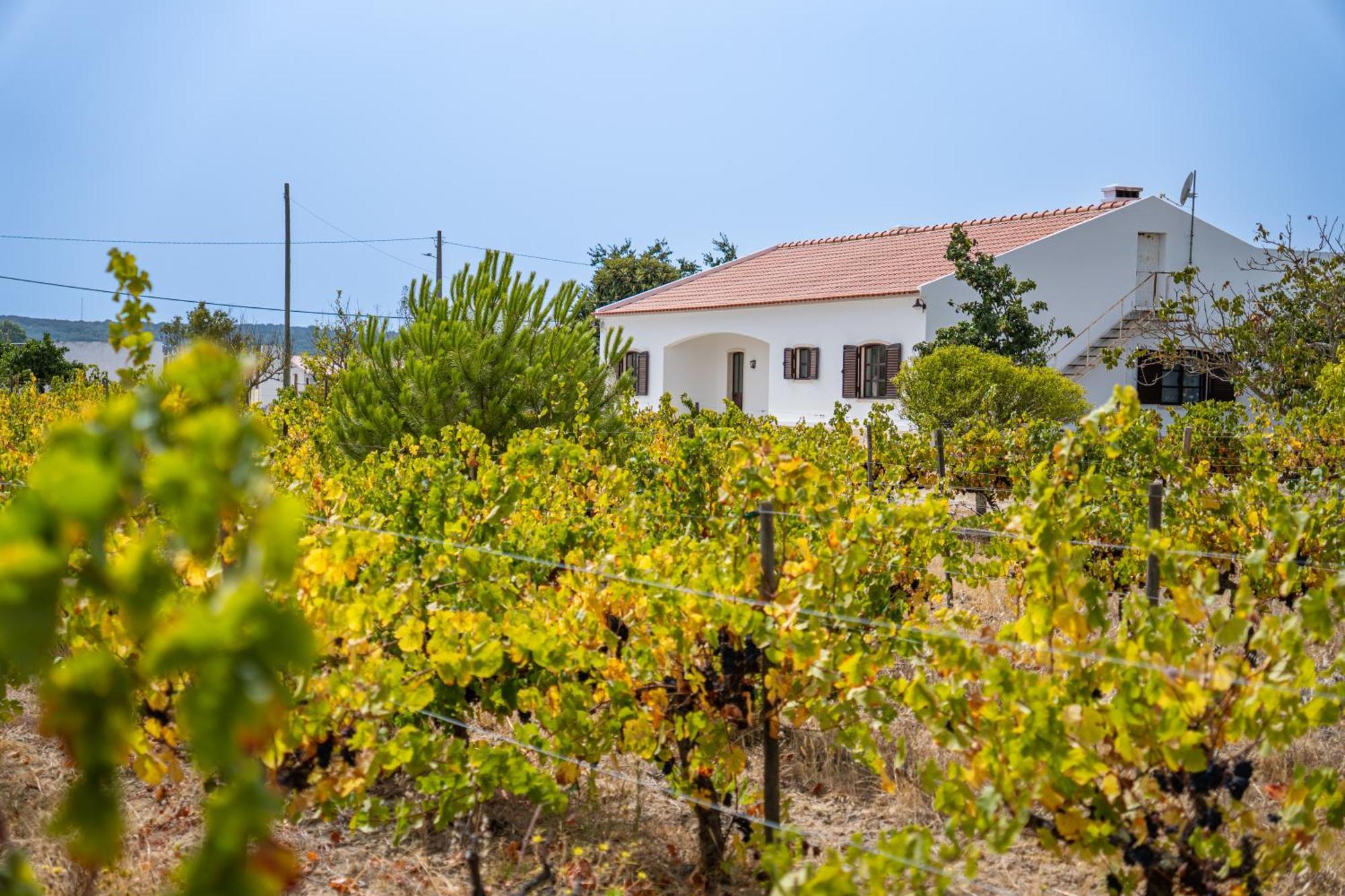 Quinta Do Quartel Villa Evora Bagian luar foto